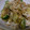 masatonton's cooksnap of when they made アボカドの柚子こしょう和え.