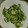 とみゆい's cooksnap of when they made きゅうりの混ぜ込みわかめ和え.