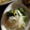 ゆずりんごもち's cooksnap of when they made ＊きゅうりと大根の酢の物＊*.
