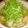 sasukenee's cooksnap of when they made 主婦の味方！簡単！これだけ！鶏ぽん酢煮.