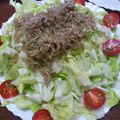 ほもい's cooksnap of when they made じゃこのせキャベツのサラダ.