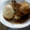 ペぱーみんとてぃ's cooksnap of when they made とろとろ玉子と鶏手羽元の黒酢煮.