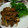 まいひろ's cooksnap of when they made 簡単甘辛生姜焼き★玉葱増量＊豚こまで節約.