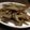 じょーさま's cooksnap of when they made お母さんの味＊ごぼうとこんにゃくの煮物.