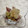 ぼのつま's cooksnap of when they made ほたるいかのみぞれ和え.
