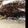 vonne's cooksnap of when they made ♡Samira's Choc Cake♡.