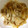 ハムッチョ's cooksnap of when they made 豚肉のしょうが焼き.