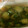 みんちゃん♡、's cooksnap of when they made きゅうりの漬物.