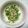 yanami's cooksnap of when they made 簡単！シンプル★カイワレ菜のおひたし★.