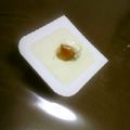 amei's cooksnap of when they made これで洗いものもなし❤冷奴の食べ方！.