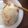 春ひなた's cooksnap of when they made アボカドと新玉ねぎのわさび醤油焼★.