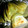 ting8's cooksnap of when they made 簡単焼きタケノコ.