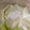 しゅんパンまん's cooksnap of when they made 簡単*レタスの保存.