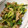 エディー＆ホッジ's cooksnap of when they made 豚のこってり炒め.