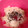 ☆hironon☆'s cooksnap of when they made 簡単！サツマイモご飯.