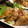 あーちゃむ27's cooksnap of when they made 揚げないサモサ風春巻き✽工程つき✽.