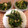 ﾌﾞﾚﾝﾀﾞ's cooksnap of when they made ほうれん草の卵とじ～お弁当にもう一品～.