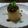 みどころ's cooksnap of when they made 肉味噌とふろふき大根.