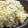 りぽさま's cooksnap of when they made ほうれん草＆鮭ご飯.
