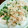 まぴおか's cooksnap of when they made 簡単！大根とカイワレの和え物.