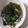 hozunyam's cooksnap of when they made ﾀﾞｲｴｯﾄ！海藻デトックススープ.