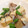 メガフー's cooksnap of when they made 厚揚げと豚ばら肉の炒め物.