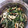 サクラパフェ's cooksnap of when they made しめじと春菊のさっと煮。.