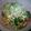 はおはおにぃ's cooksnap of when they made ヘルシー水菜炒め　豆腐入り♪.