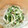 はしやすめ1号's cooksnap of when they made 水菜としめじのマヨポン和え.