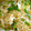 じじばばな私's cooksnap of when they made ★鶏ささみとにんにくの芽の炒め物★.