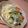 ようくんまんま's cooksnap of when they made 豚バラ小松菜のペペロンチーノ.