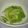 きゃりーぃ's cooksnap of when they made キャベツの胡麻和え.
