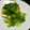 SP♪'s cooksnap of when they made さばの塩焼き　薬味のっけもり.