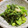 ぽんずー's cooksnap of when they made なばなと枝豆の青菜炒め.