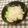 uzu1118's cooksnap of when they made 白菜のホットサラダ.