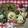 ８児のママきよっぺ's cooksnap of when they made キャラ弁＊誰でも簡単！チューリップ弁当.