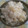 ラリー＆サラ's cooksnap of when they made じゃがのしらすの炊き込みご飯＾＾.