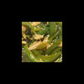 chobirio's cooksnap of when they made ピーマンのくたくた煮.