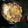 ioMam˙³˙'s cooksnap of when they made 簡単で美味しい♪他人丼.