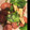 eses86's cooksnap of when they made かぶとウインナーのバター醤油炒め.