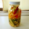 ＊WINI＊'s cooksnap of when they made お好みの野菜で♪ミックスピクルス.