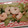 TKCHAN1's cooksnap of when they made ★えびとセロリのさっと炒め★.