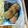 すずきえきさ's cooksnap of when they made サーモンソテー.