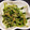 megboh03's cooksnap of when they made ★小さなおかず★豆苗の胡麻和え.