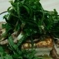 てんとうむしのひろ's cooksnap of when they made ☆ボリュームたっぷり豆腐ステーキ★.