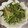 やさしい人's cooksnap of when they made あと一品。かぶの葉の炒めもの.
