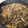 ｱﾋﾙ's cooksnap of when they made めちゃウマ♪ごぼうと牛肉の炒め煮.