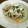 kana叶's cooksnap of when they made 長いもと豚肉のしゃきしゃき炒め.