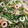 merci0u0's cooksnap of when they made 簡単☆水菜とちくわのおひたし風サラダ.