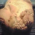 駿のすけ's cooksnap of when they made HBでマロンロールパン.